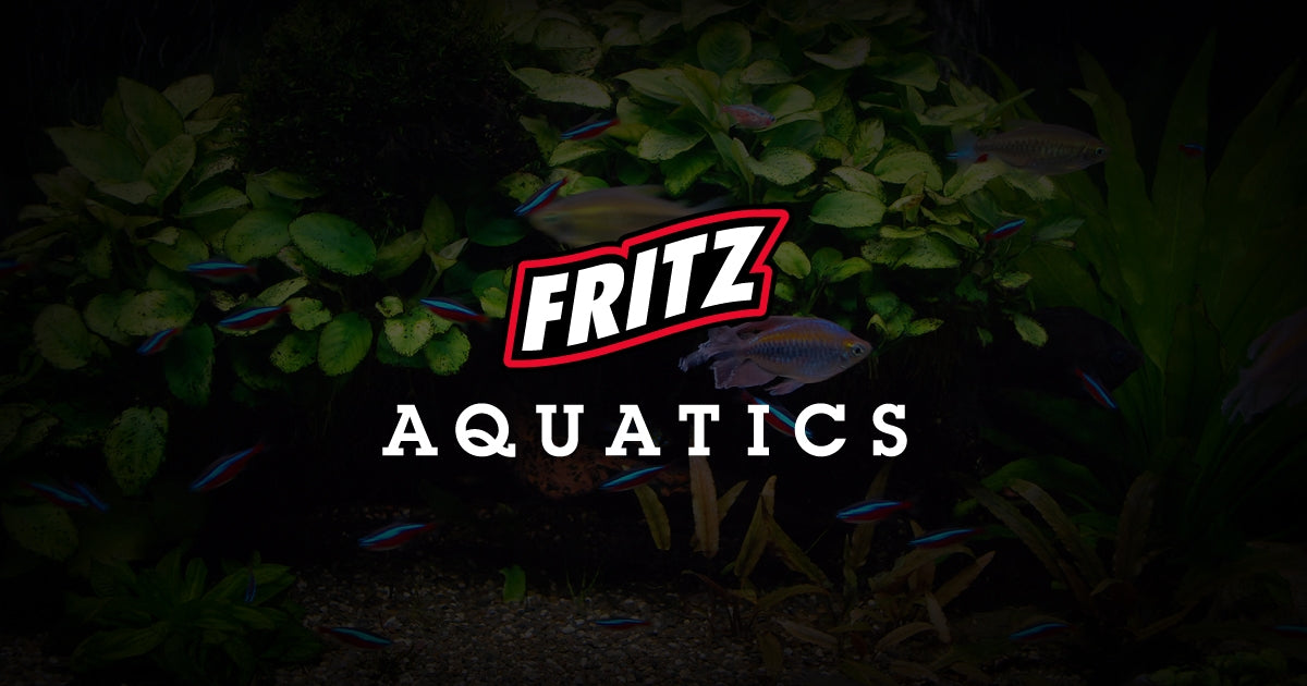 Fritz Water Garden Gems Garden Center