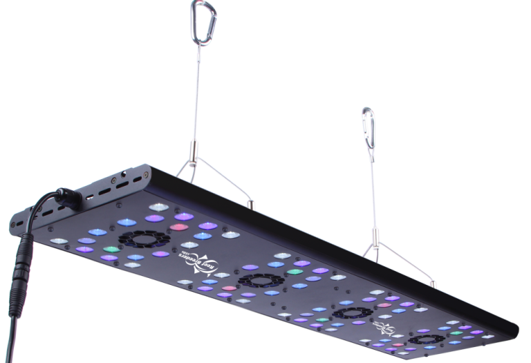 Aquarium Lighting Water Garden Gems Garden Center