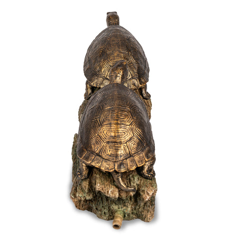 Aquascape Double Turtle on a Log Spitter