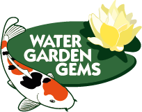 Water Garden Gems Garden Center