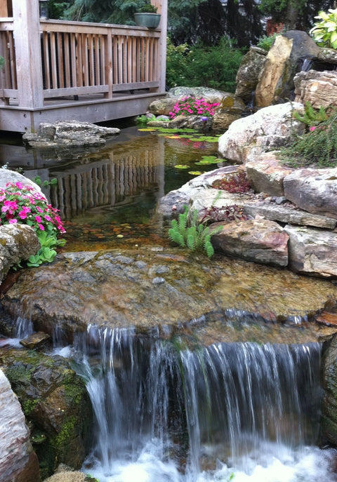 Great Pond Additions