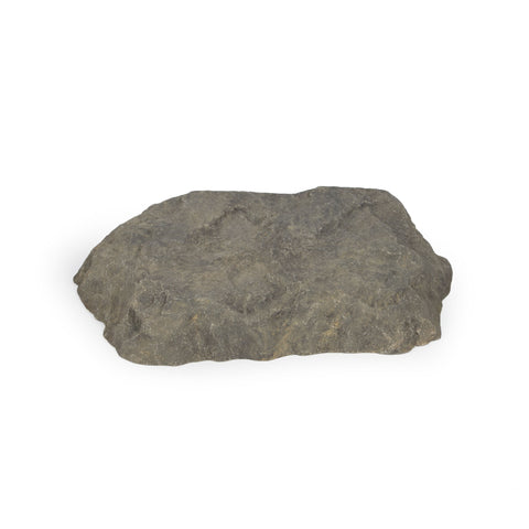 Atlantic Rock Lid