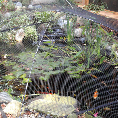 Atlantic Pond & Garden Protector Kit