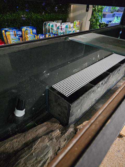 Aquarium - USED 150 gal vivarium - IN STORE PURCHASE ONLY (NO SHIPPING)