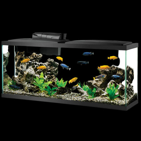 Aqueon Pre-Priced LED Aquarium Kit 55 GAL