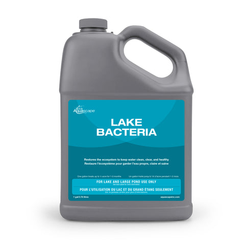 Aquascape Lake Bacteria