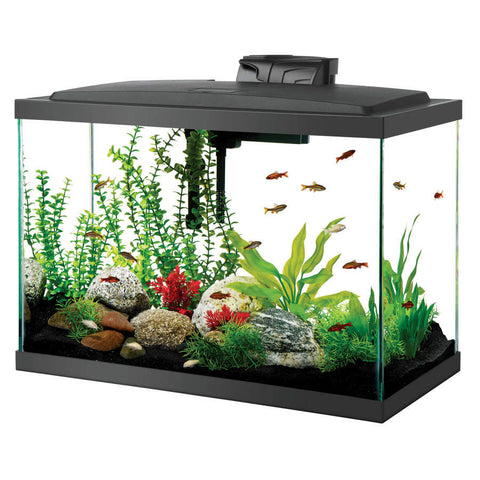 Aqueon LED Aquarium Kit