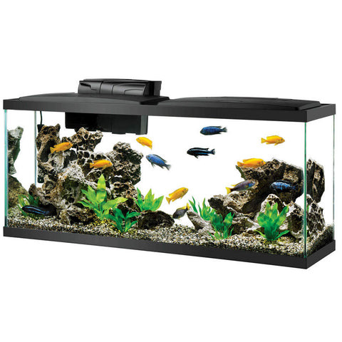 Aqueon LED Aquarium Kit